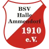BSV Halle-Ammendorf AH